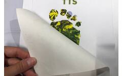 DTF Hot-Peel Transfer Paper 